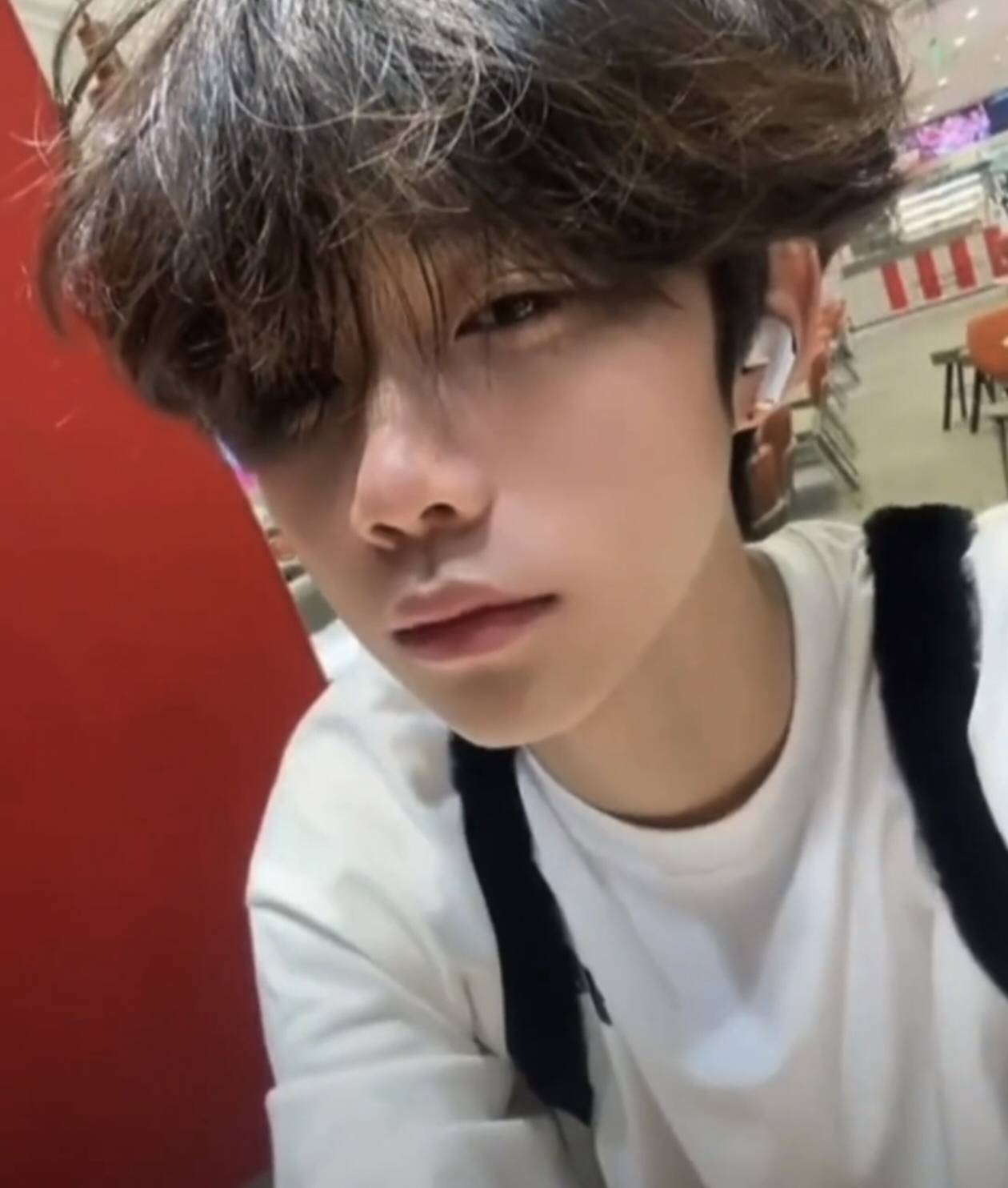 白羽
